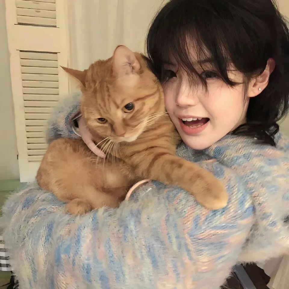 献鱼